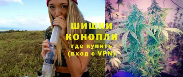 трава Елизово
