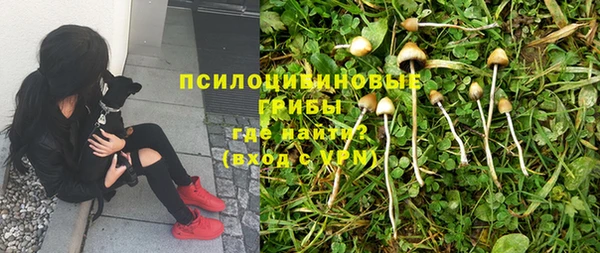 mdma Елабуга